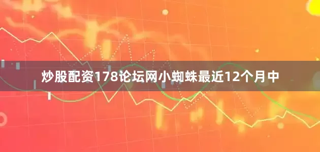 炒股配资178论坛网小蜘蛛最近12个月中