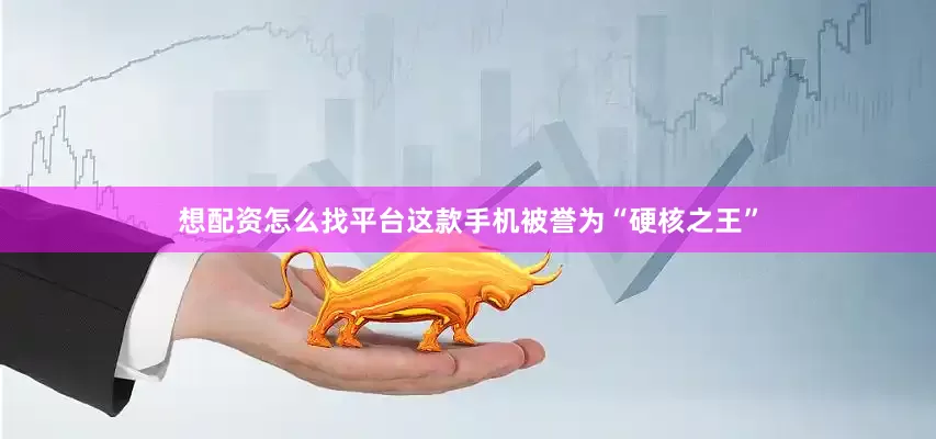 想配资怎么找平台这款手机被誉为“硬核之王”